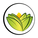 The Ayurveda Experience EU